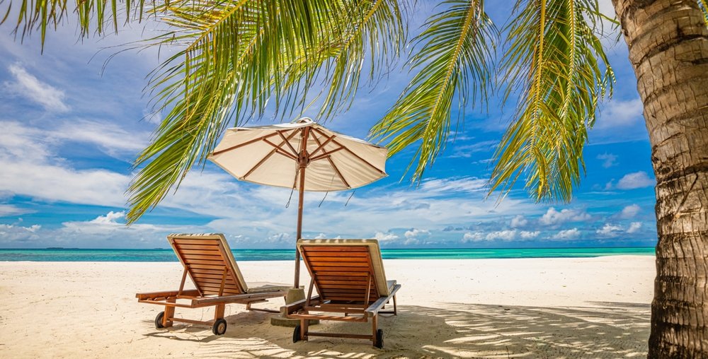 Negombo Homestay & Wellness Experience Tour